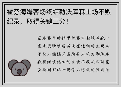 霍芬海姆客场终结勒沃库森主场不败纪录，取得关键三分！